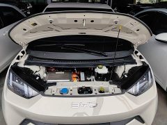 BYD Seagull 305km Freedom Edition - ფოტო 19