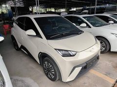 BYD Seagull 305km Freedom Edition - ფოტო 3