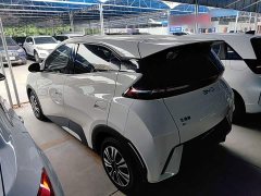 BYD Seagull 305km Freedom Edition - ფოტო 4