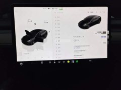 Tesla Model 3 2022 Rear-Wheel Drive - ფოტო 11