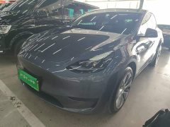 Tesla Model Y Rear-Wheel Drive - ფოტო 1