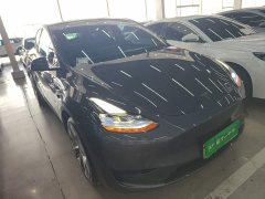Tesla Model Y Rear-Wheel Drive - ფოტო 3