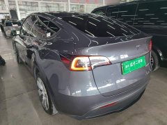 Tesla Model Y Rear-Wheel Drive - ფოტო 4