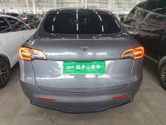 Tesla Model Y Rear-Wheel Drive - ფოტო 5