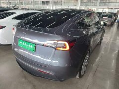 Tesla Model Y Rear-Wheel Drive - ფოტო 6