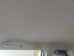 Changan Lumin 301km Honey Scent Edition - ფოტო 17