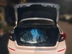 Honda Civic 240TURBO CVT Dynamic Edition - ფოტო 9