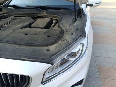Geely Emgrand 1.8T Pilot Plus - ფოტო 19