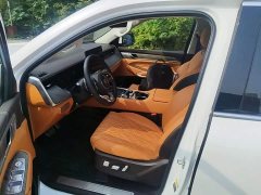 Tank 500 New Energy 2026 Hi4-Z Smart Comfort Edition - ფოტო 19