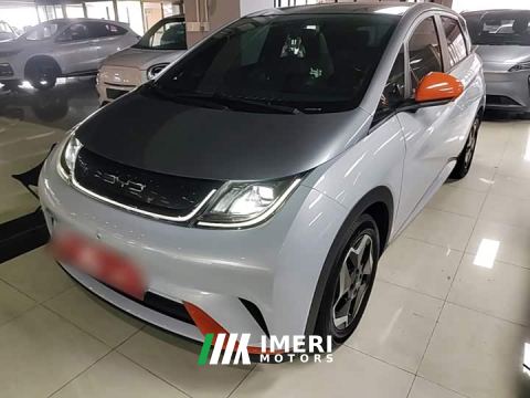 2021 BYD Dolphin 405km Fashion Edition