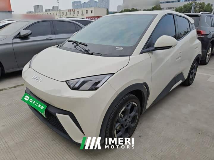 BYD Seagull 2025 405km Flying Edition - ავტომობილი ჩინეთიდან