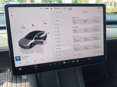 Tesla Model 3 2022 Rear-Wheel Drive - ფოტო 11