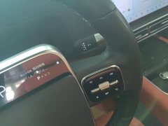 Li Auto L8 Pro - ფოტო 13