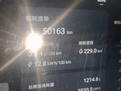 Denza BYD Denza D9 DM-i 980 Four-Wheel Drive Premium - ფოტო 4