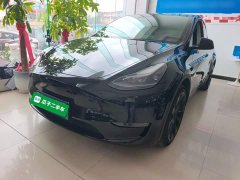 Tesla Model Y Standard Range RWD - ფოტო 1