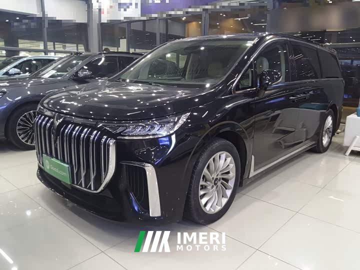 Voyah Lantu Dreamchaser Low Carbon Edition Family