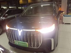 Voyah Lantu Dreamchaser 2022 Low Carbon Edition Family - ფოტო 2