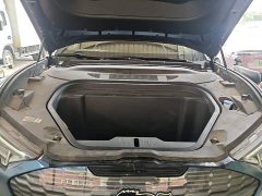 Ford Mustang Mach-E 2021 Boundless RWD Luxury Long Range - ფოტო 19