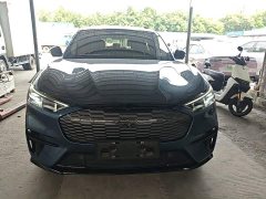 Ford Mustang Mach-E 2021 Boundless RWD Luxury Long Range - ფოტო 2