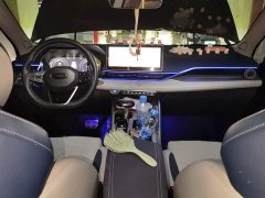 Geely Xingrui 2.0T Diesel Premium Edition - ფოტო 12