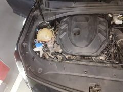 Geely Xingrui 2.0T Diesel Premium Edition - ფოტო 18