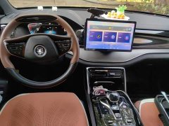 BYD Yuan Plus DM-i 2021 112KM Premium Edition - ფოტო 12
