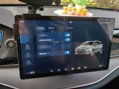 BYD Yuan Plus DM-i 2021 112KM Premium Edition - ფოტო 18