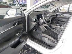 Dongfeng SKY EV01 2025 530km AIR Elite Edition - ფოტო 15