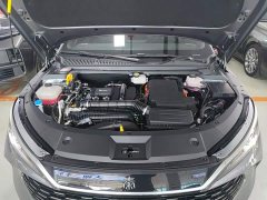 BYD Qin L 2024 DM-i 80KM Elite - ფოტო 19