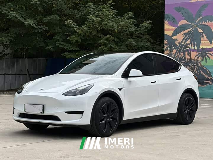 Tesla Model Y Rear-Wheel Drive - ავტომობილი ჩინეთიდან