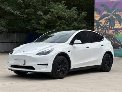 Tesla Model Y Rear-Wheel Drive - ფოტო 1