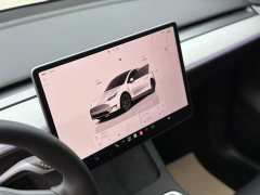 Tesla Model Y Rear-Wheel Drive - ფოტო 3