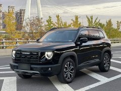 Great Wall Dachshund 2026 1.5T DCT Border Collie Edition - ფოტო 1