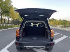 Great Wall Dachshund 2026 1.5T DCT Border Collie Edition - ფოტო 9