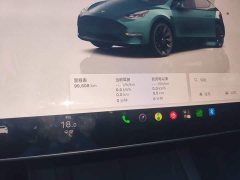 Tesla Model Y Rear-Wheel Drive - ფოტო 11