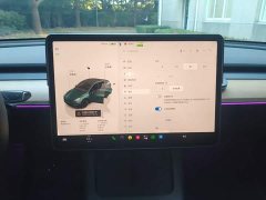 Tesla Model Y Rear-Wheel Drive - ფოტო 12