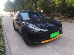 Tesla Model Y Rear-Wheel Drive - ფოტო 3