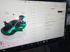Tesla Model Y 2023 Rear-Wheel Drive - ფოტო 11