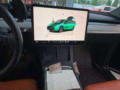 Tesla Model Y 2023 Rear-Wheel Drive - ფოტო 12