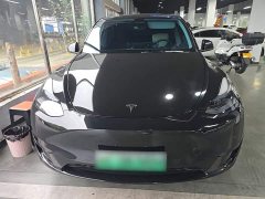Tesla Model Y 2023 Rear-Wheel Drive - ფოტო 2
