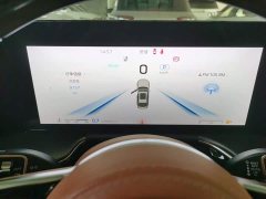 FAW Red Flag H9 2.0T Flagship Comfort Private Luxury Edition - ფოტო 11