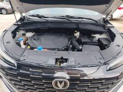 Changan CS55 PLUS 2nd Generation 1.5T DCT Luxury - ფოტო 19