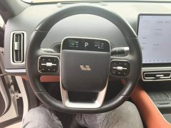 Li Auto L6 Pro - ფოტო 10
