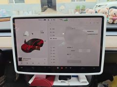 Tesla Model 3 Standard Range RWD Upgrade - ფოტო 19