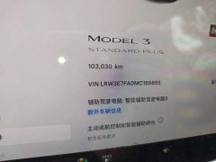 Tesla Model 3 Standard Range RWD Upgrade - ფოტო 4