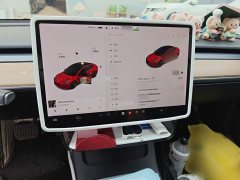 Tesla Model 3 Standard Range RWD Upgrade - ფოტო 5