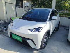 BYD Seagull Glory Edition 305km Freedom Version - ფოტო 1