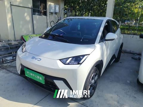 2024 BYD Seagull Glory Edition 305km Freedom Version - ავტომობილი ჩინეთიდან