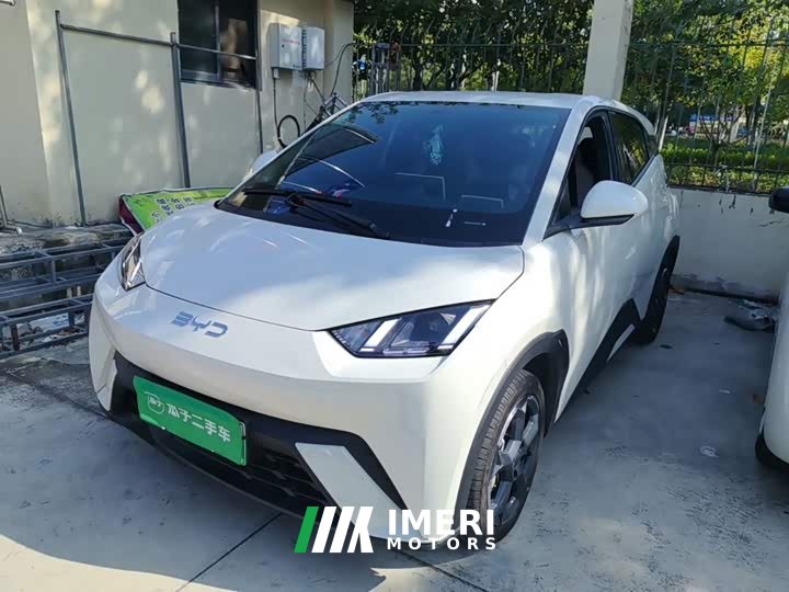 BYD Seagull Glory Edition 305km Freedom Version
