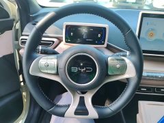 BYD Seagull Glory Edition 305km Freedom Version - ფოტო 10